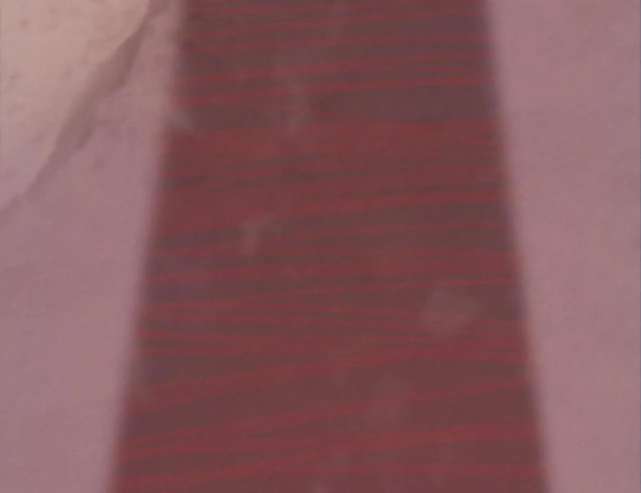 HONEY BEAR Chapter 56 Trang 127