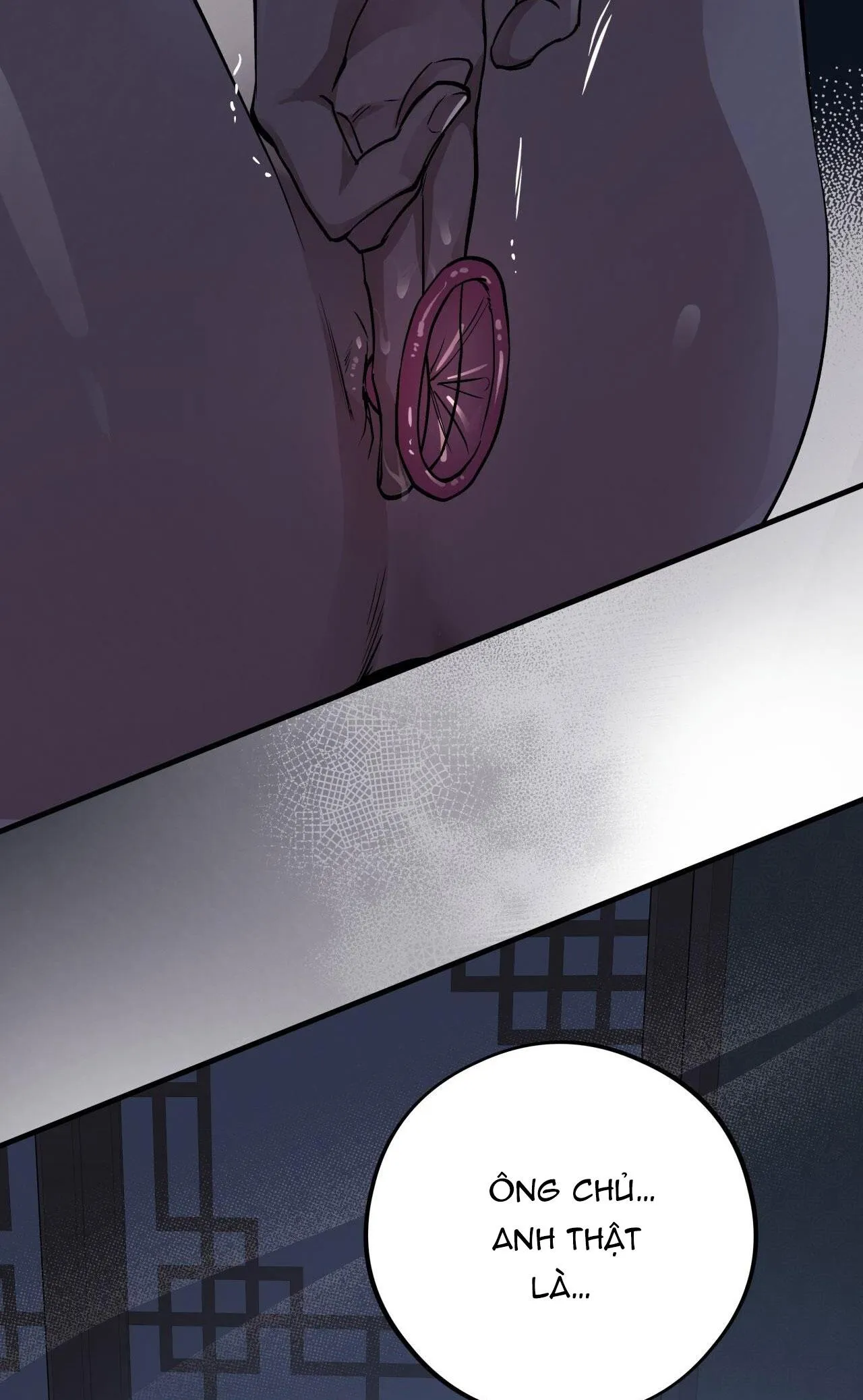 HONEY BEAR Chapter 58 Trang 58