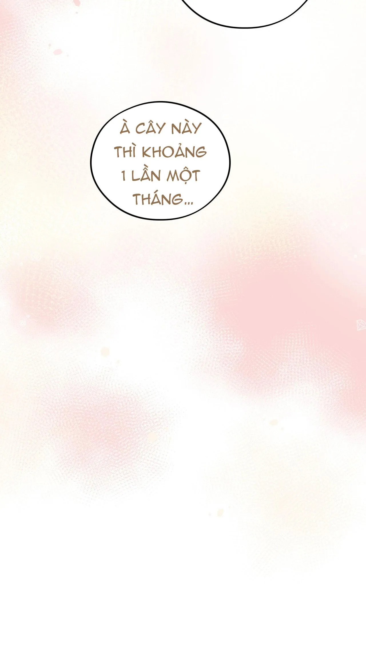 HONEY BEAR Chapter 63 Trang 78