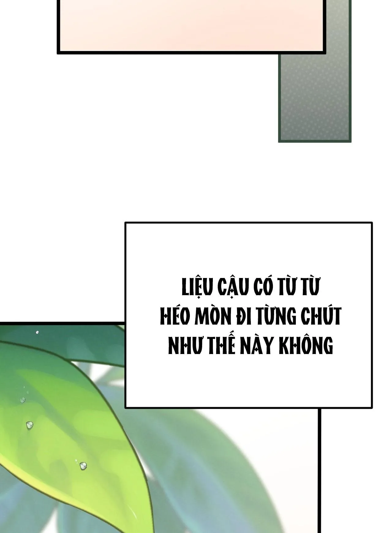 HONEY BEAR Chapter 63 Trang 91