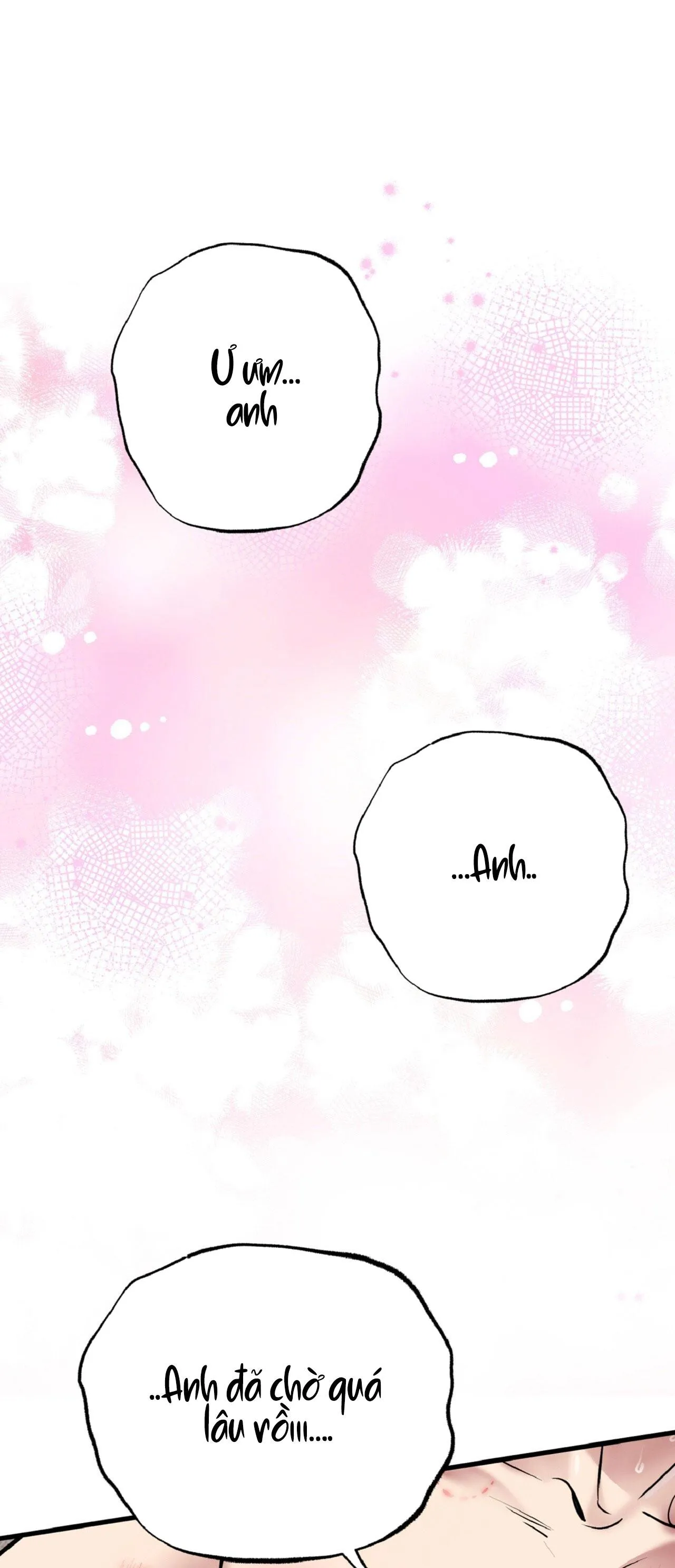 HONEY BEAR Chapter 66 Trang 35