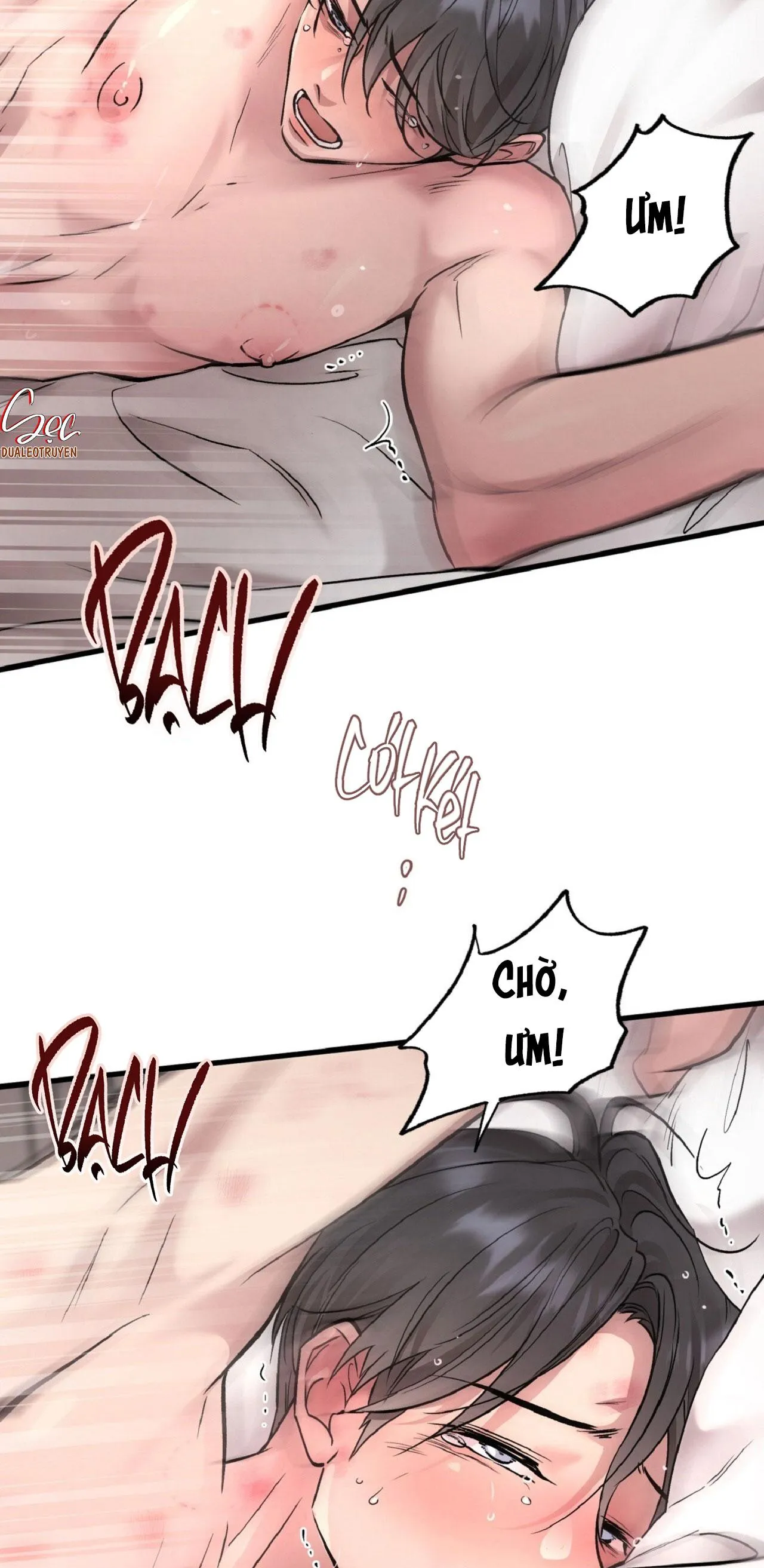 HONEY BEAR Chapter 67 Trang 71