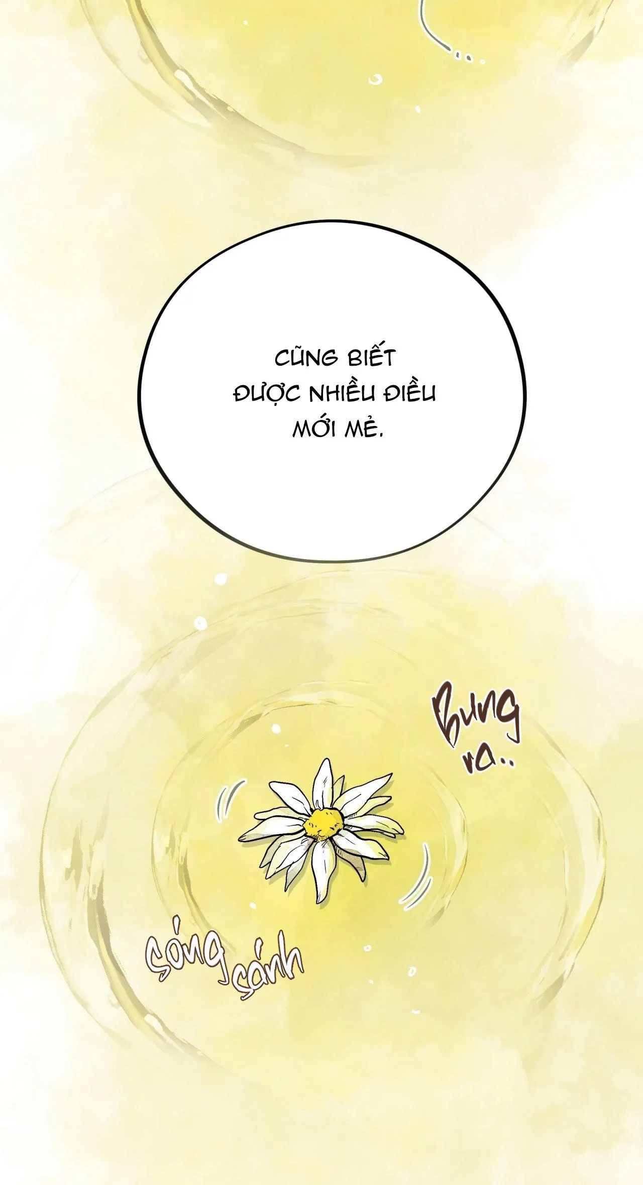 HONEY BEAR Chapter 68 Trang 67