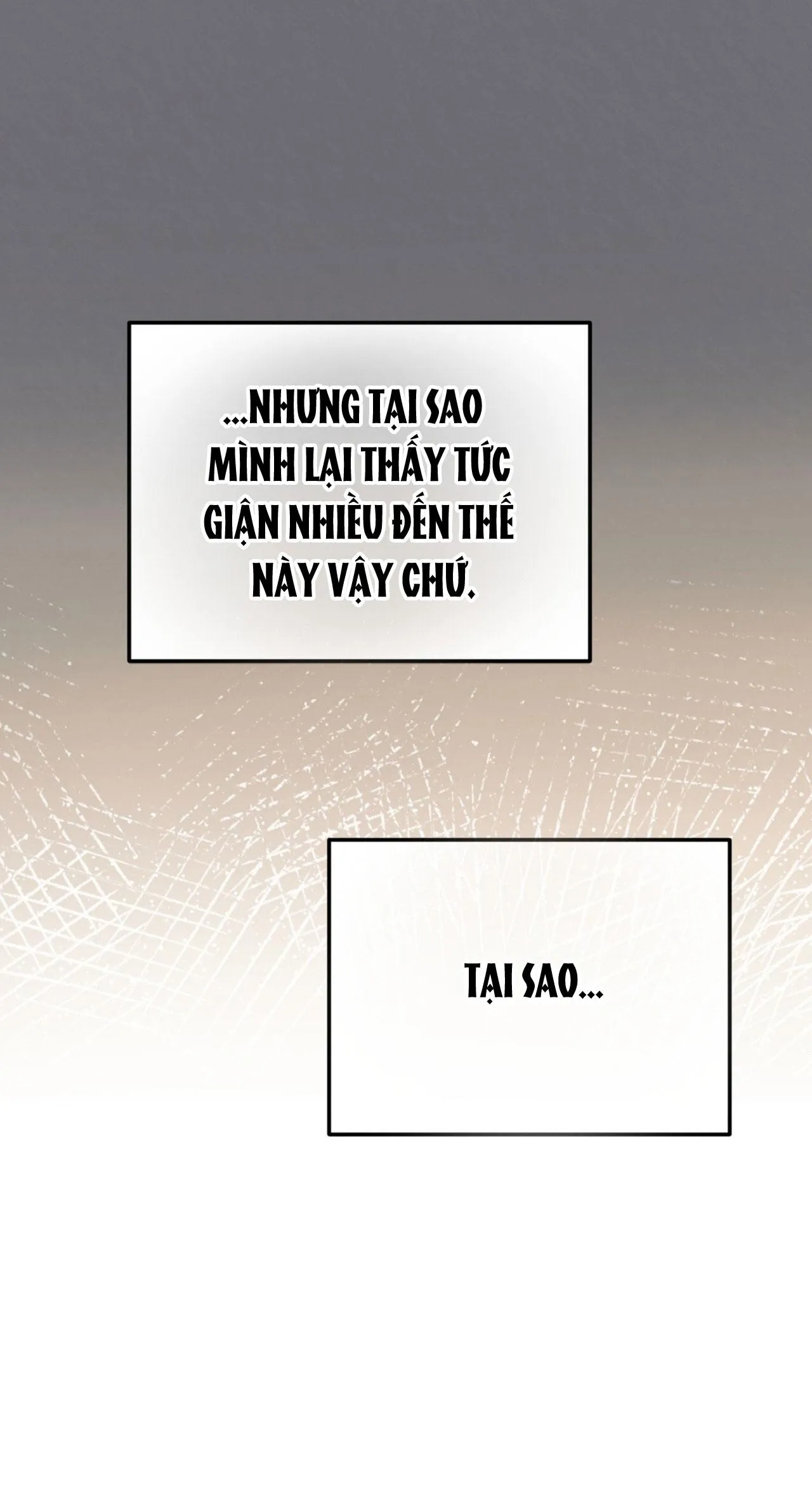 HONEY BEAR Chapter 69 Trang 77