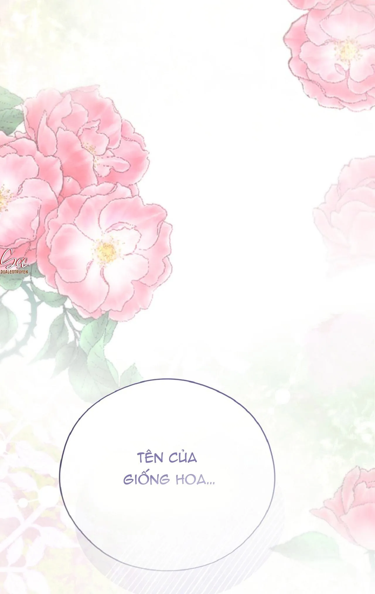 HONEY BEAR Chapter 70 Trang 96