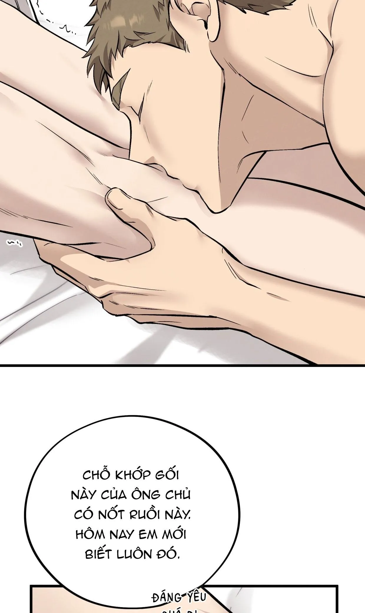 HONEY BEAR Chapter 73 Trang 17