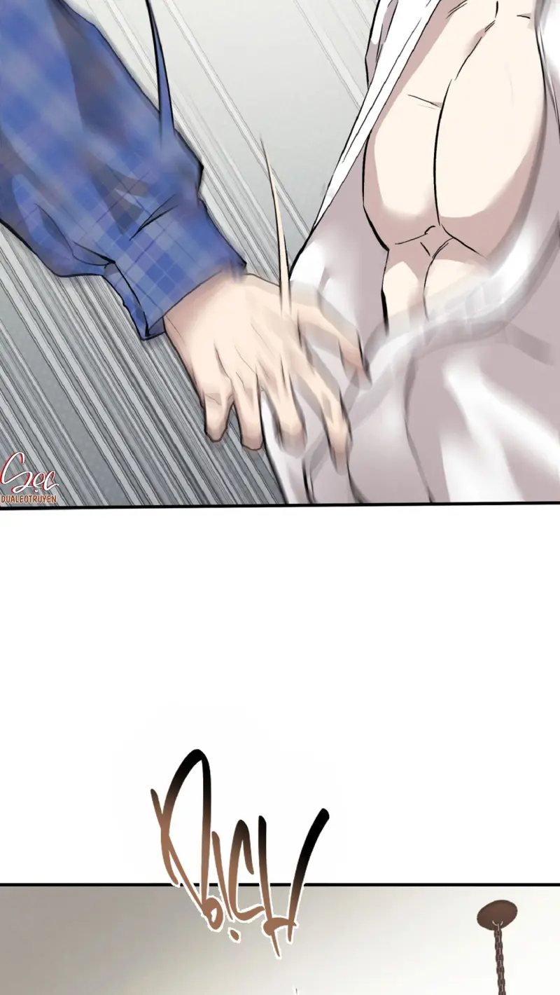 HONEY BEAR Chapter 77 Trang 4