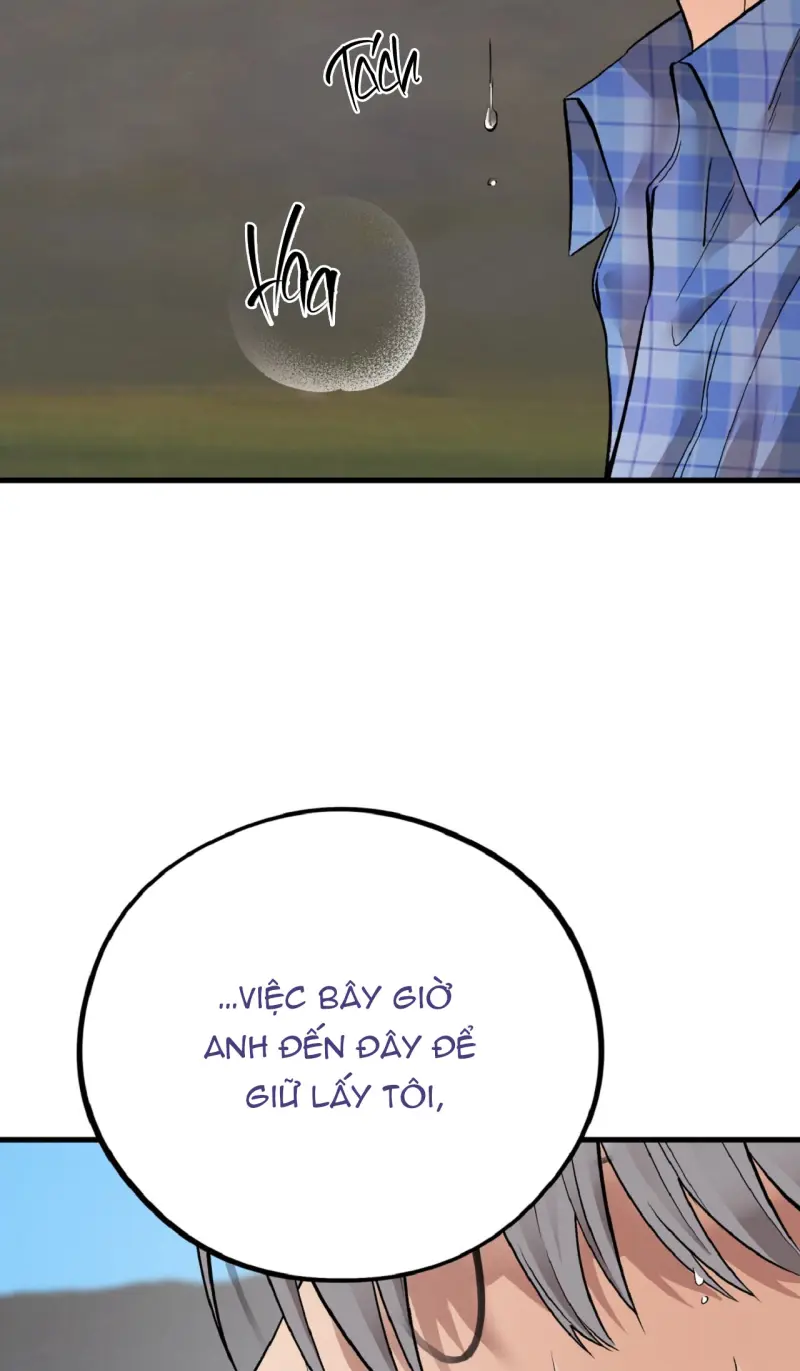 HONEY BEAR Chapter 77 Trang 52