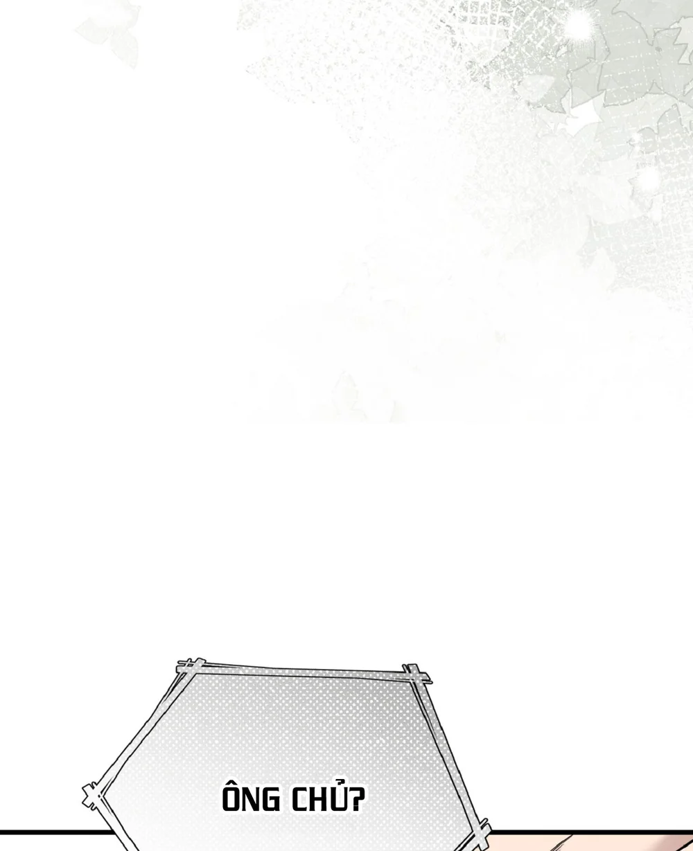 HONEY BEAR Chapter 78 Trang 97