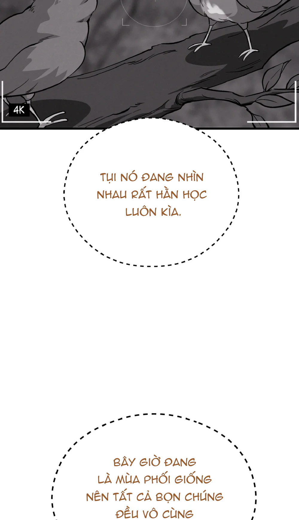 HONEY BEAR Chapter 82 Trang 26