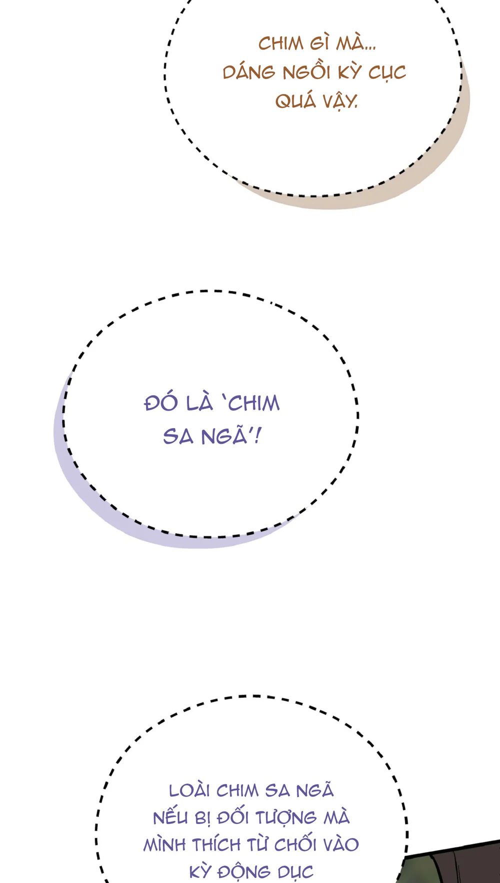 HONEY BEAR Chapter 82 Trang 40