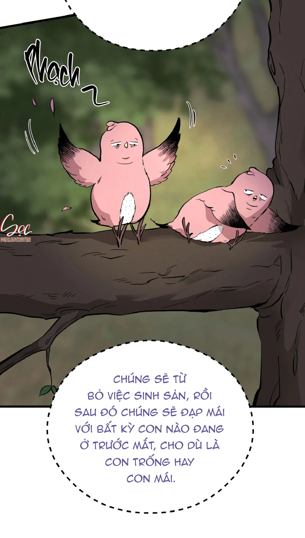 HONEY BEAR Chapter 82 Trang 41