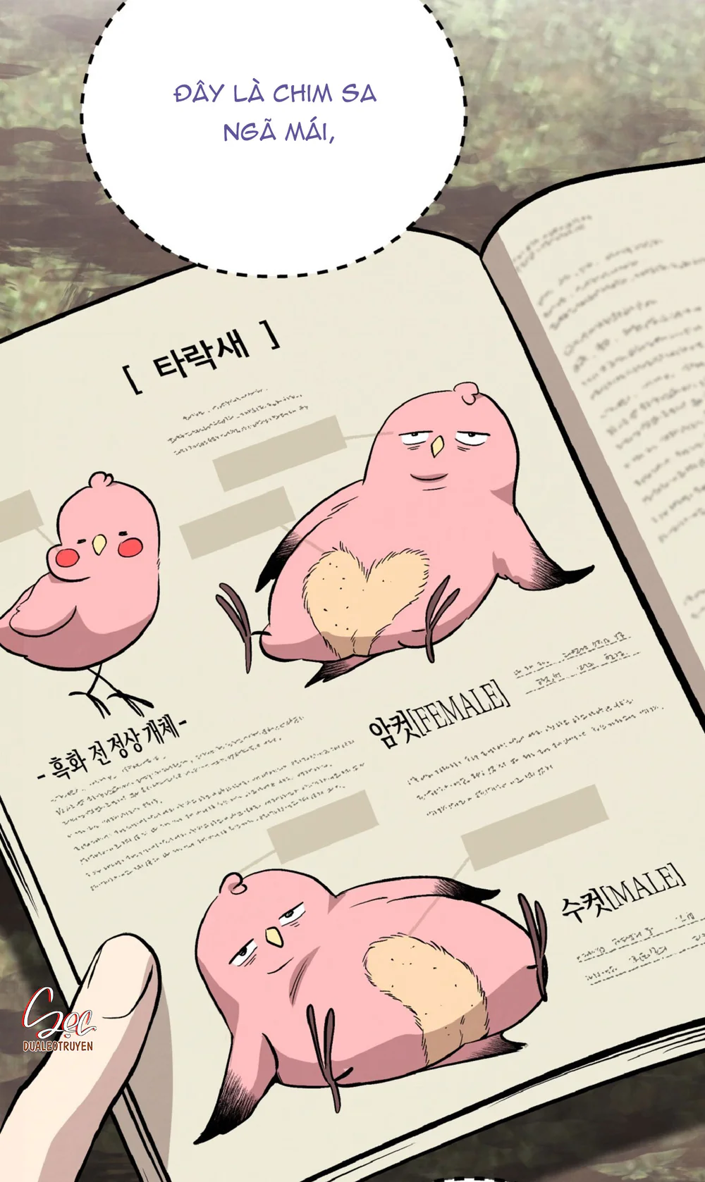 HONEY BEAR Chapter 82 Trang 46