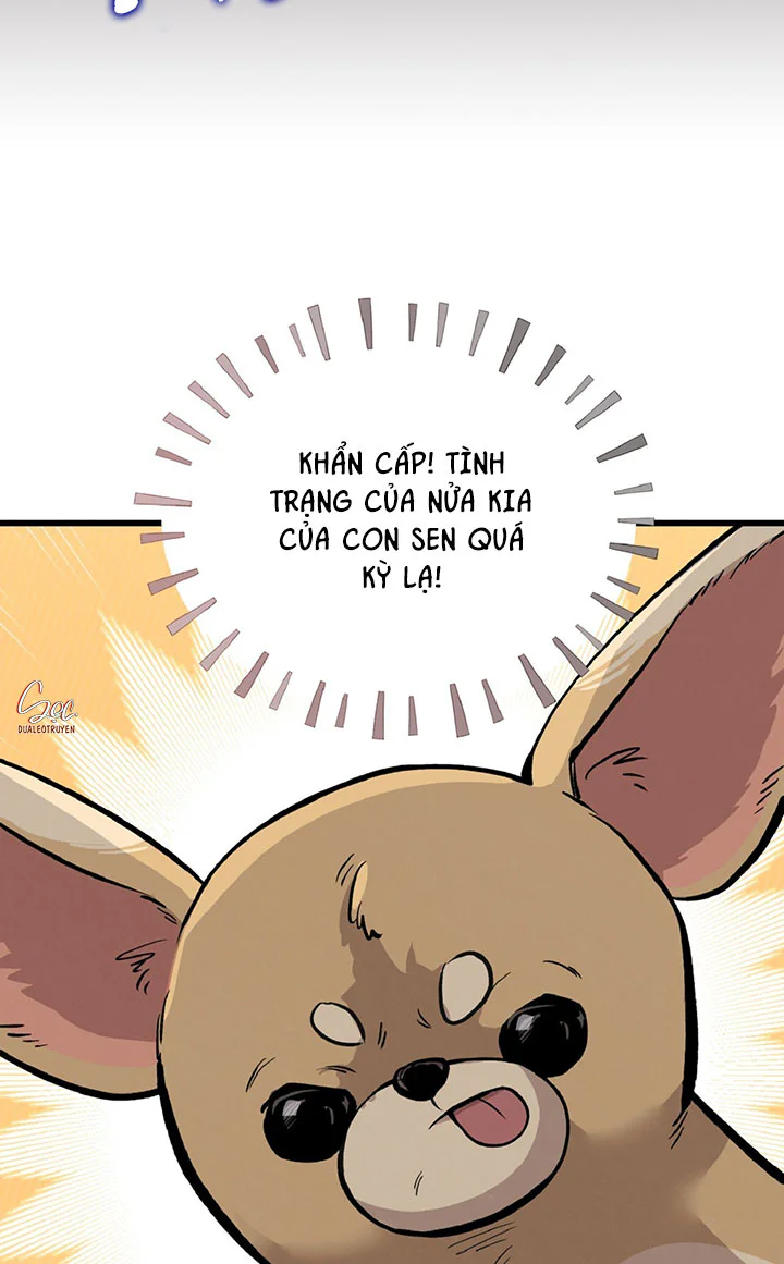 HONEY BEAR Chapter 86 Trang 91