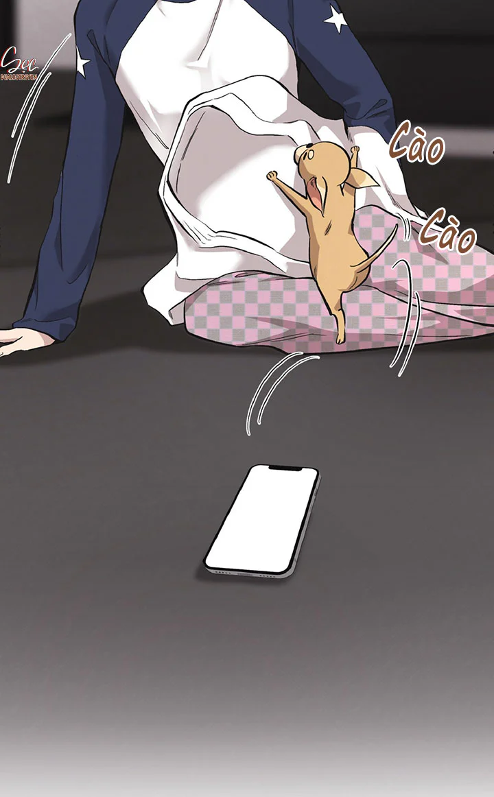 HONEY BEAR Chapter 86 Trang 100