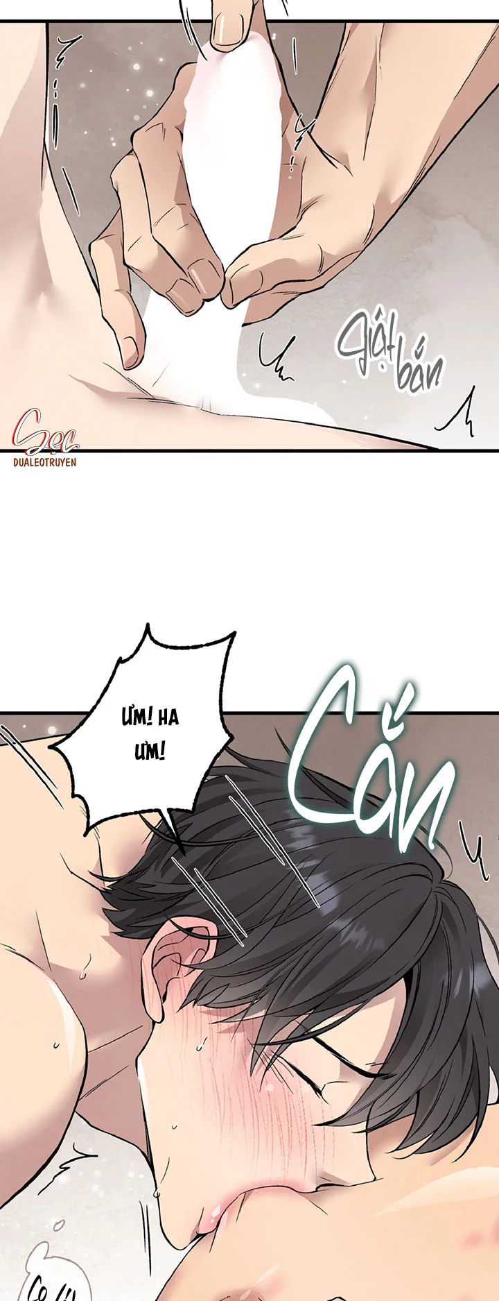 HONEY BEAR Chapter 87 Trang 31