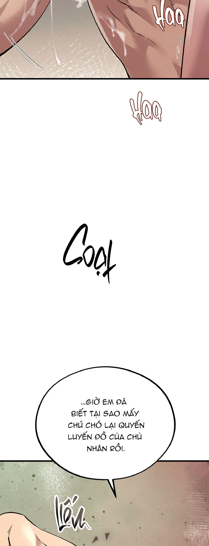 HONEY BEAR Chapter 87 Trang 48