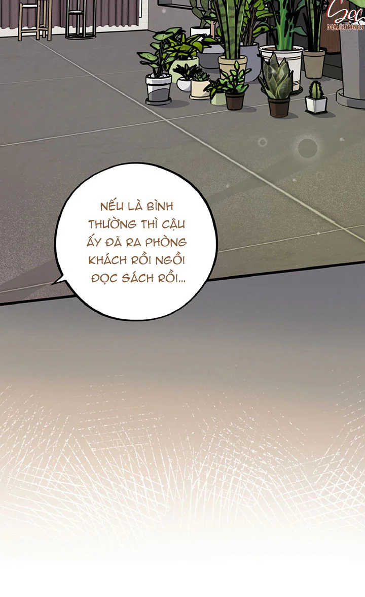 HONEY BEAR Chapter 88 Trang 12