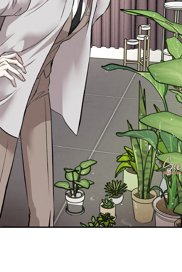 HONEY BEAR Chapter 88 Trang 14