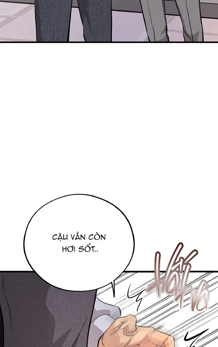 HONEY BEAR Chapter 88 Trang 48