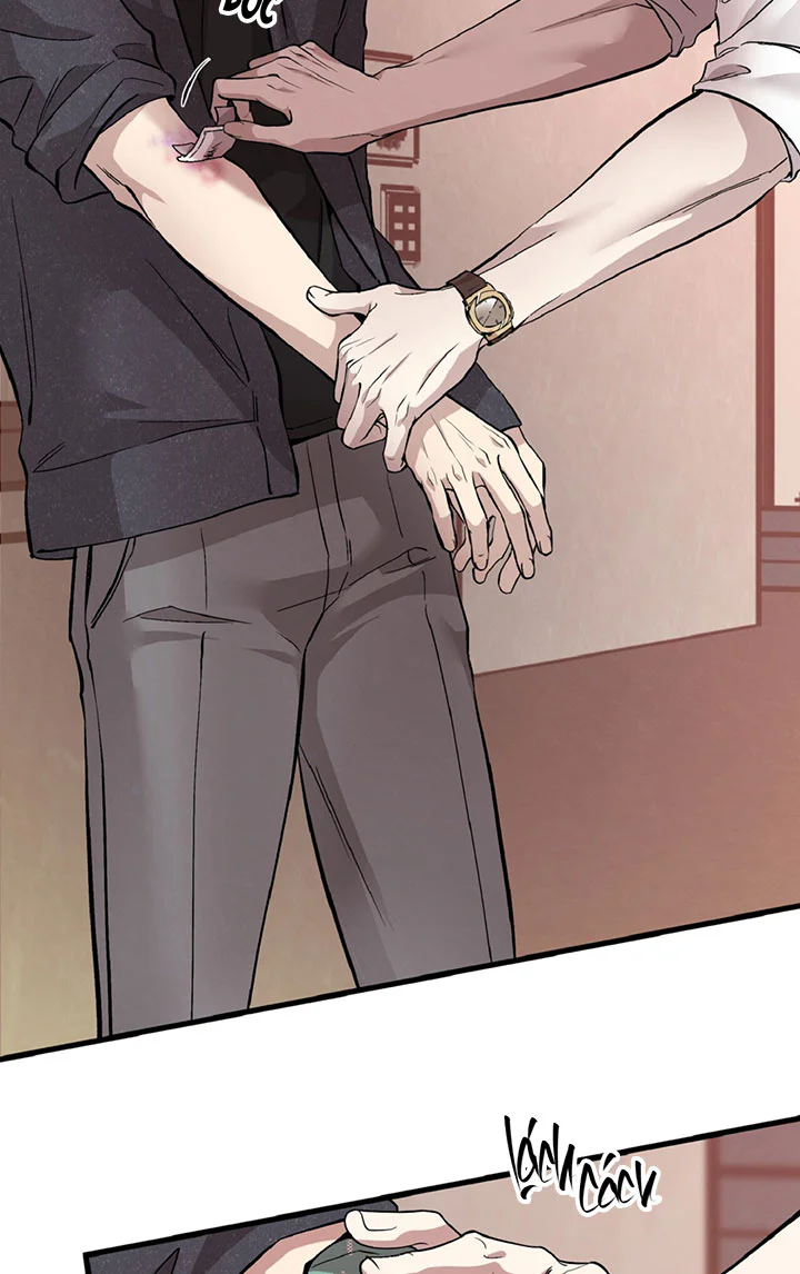 HONEY BEAR Chapter 88 Trang 81