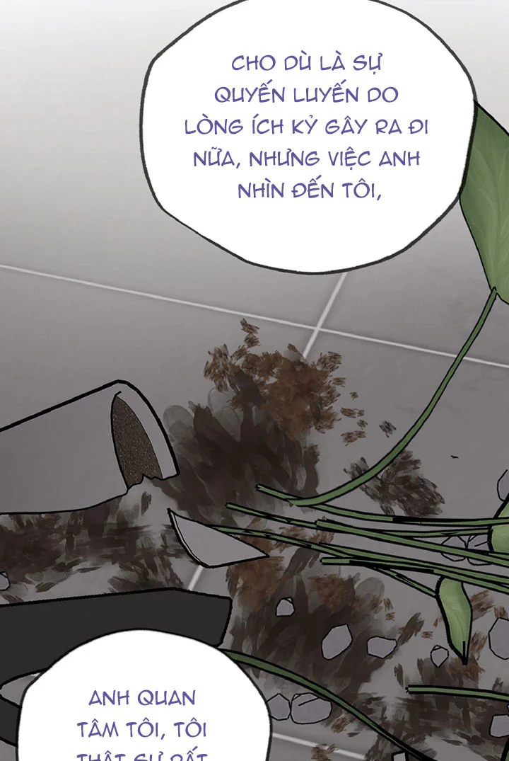 HONEY BEAR Chapter 89 Trang 51