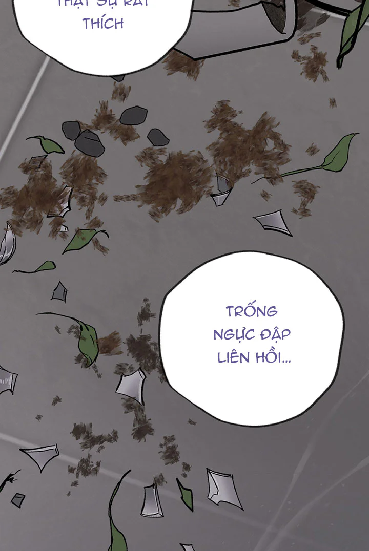 HONEY BEAR Chapter 89 Trang 52