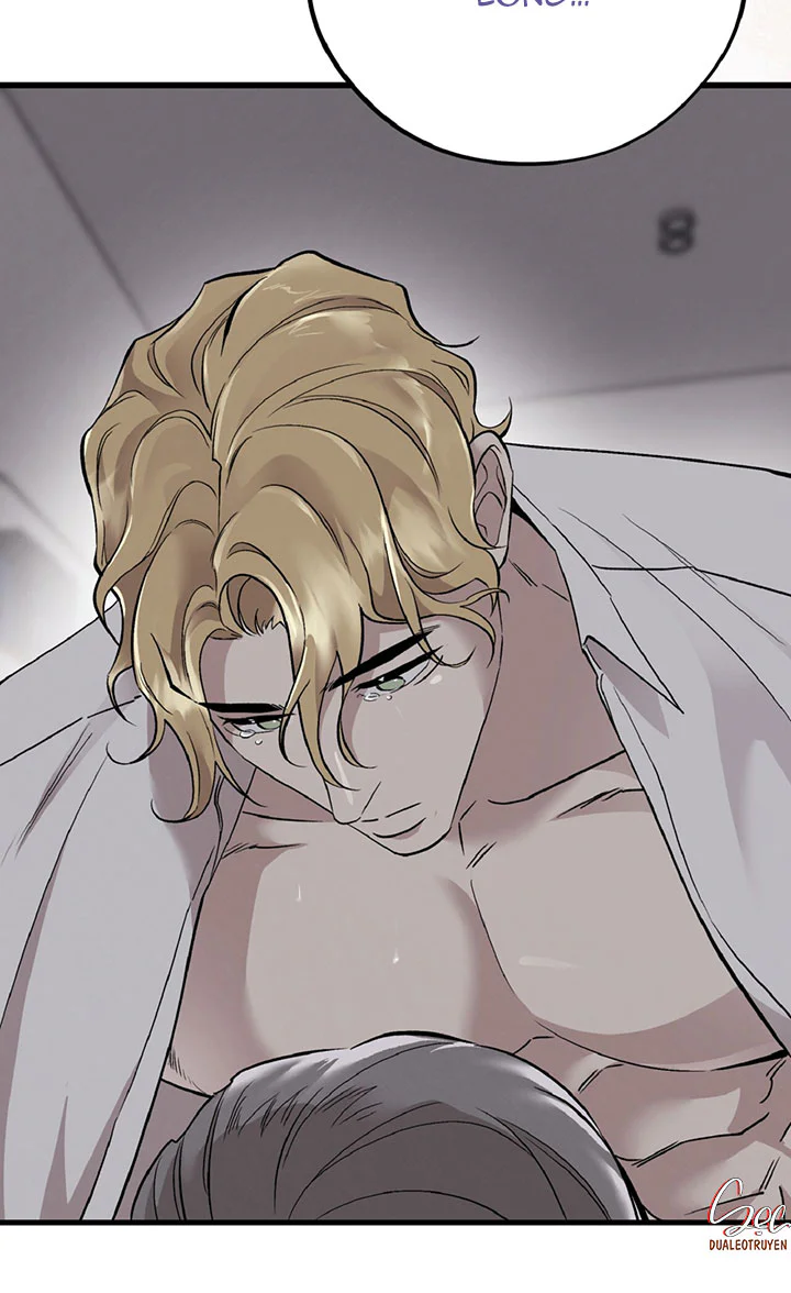 HONEY BEAR Chapter 90 Trang 66