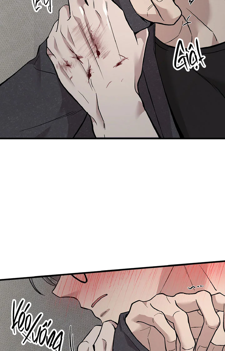 HONEY BEAR Chapter 90 Trang 73