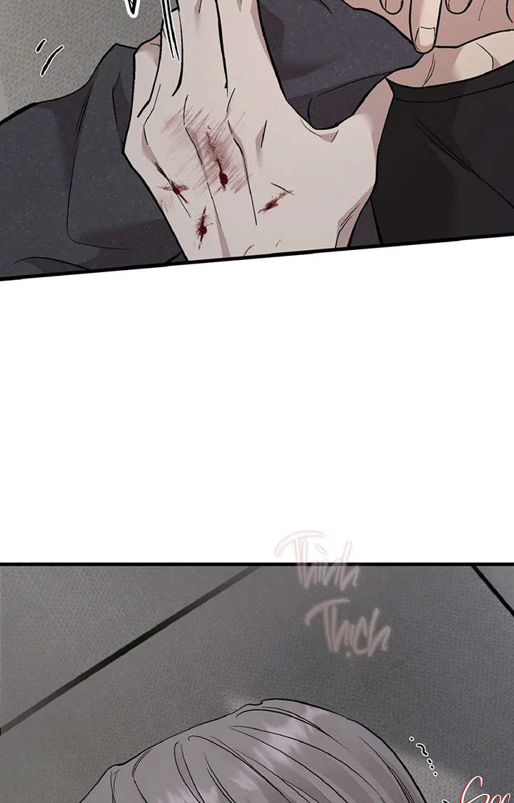 HONEY BEAR Chapter 90 Trang 74