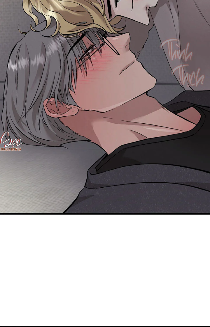 HONEY BEAR Chapter 90 Trang 78