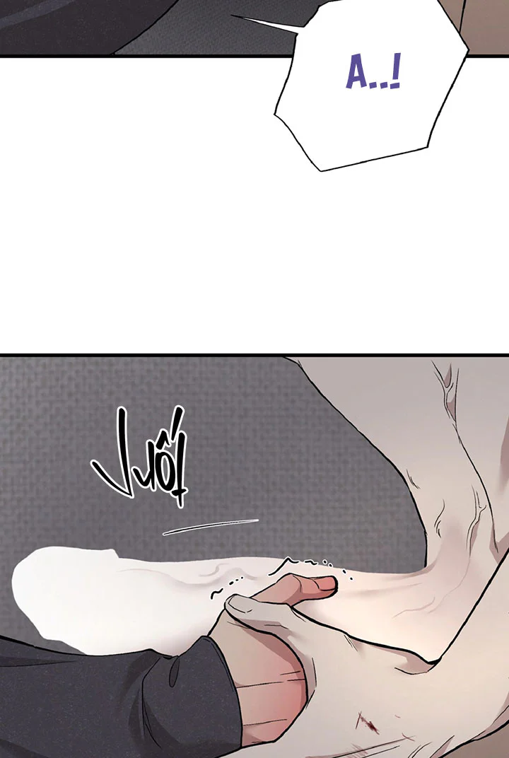 HONEY BEAR Chapter 90 Trang 80