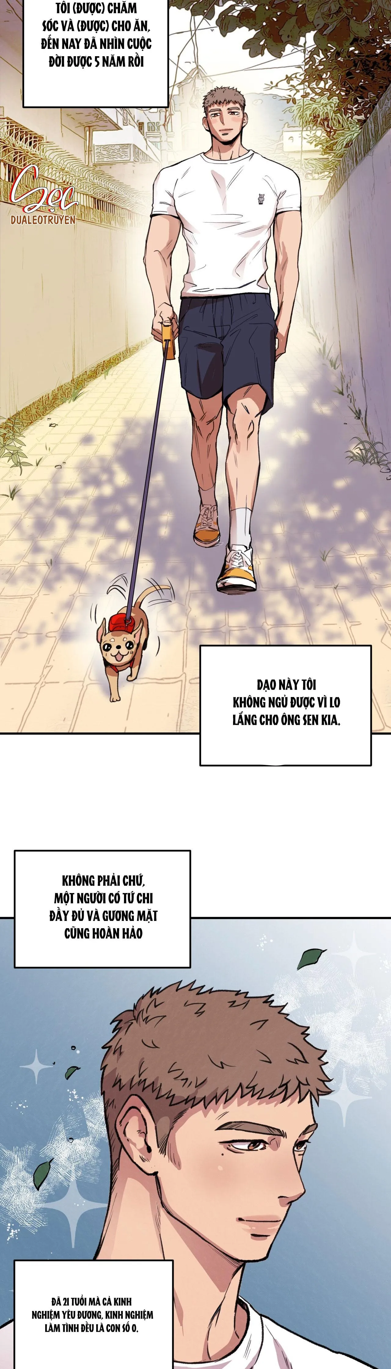 HONEY BEAR Chapter 1 Trang 3