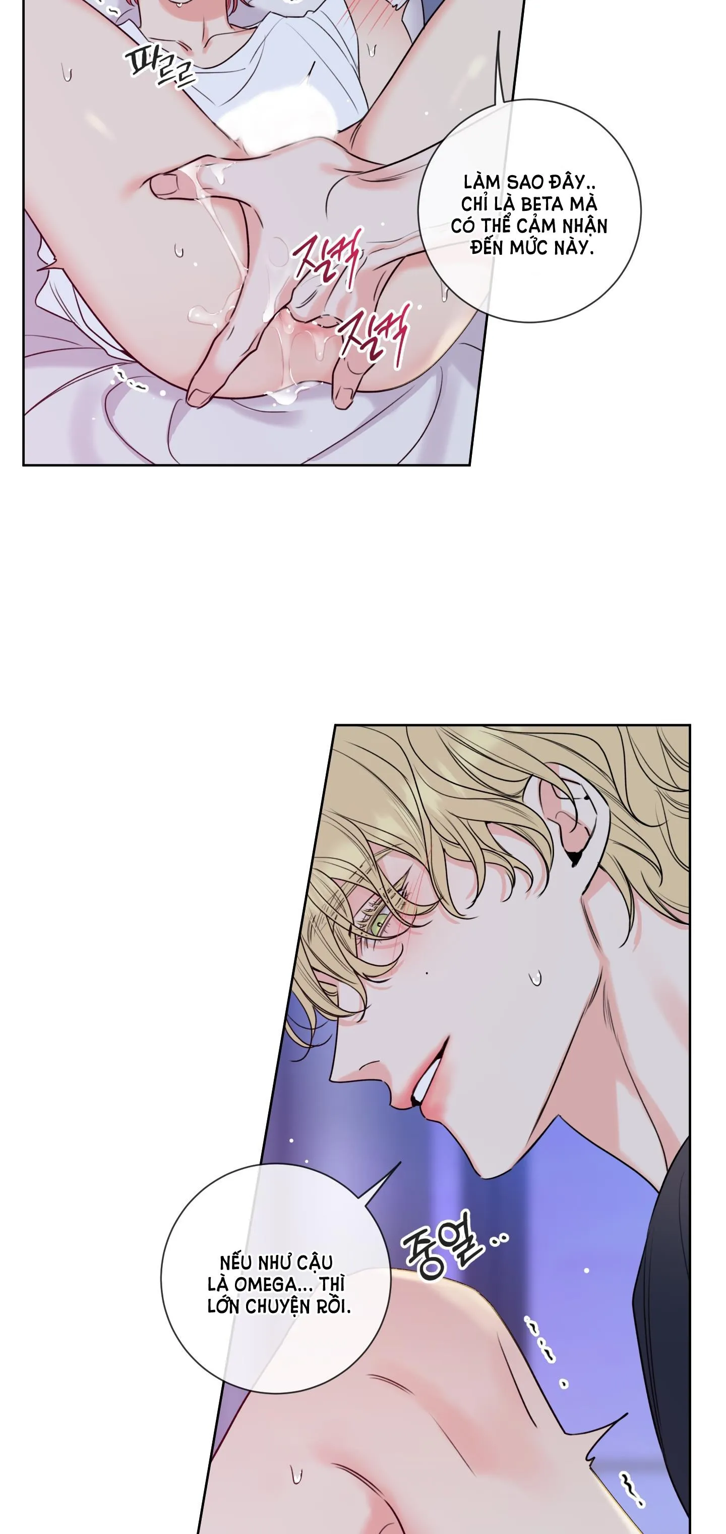 HONEY TROUBLE Chapter 5 Trang 15