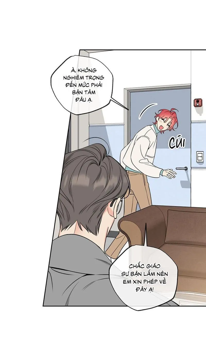 HONEY TROUBLE Chapter 38 Trang 25