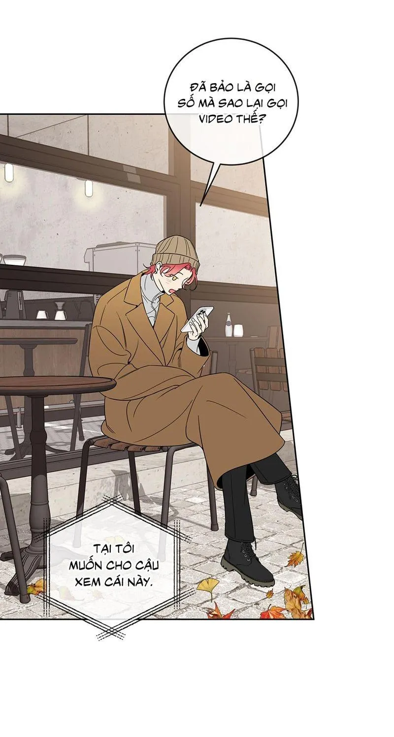 HONEY TROUBLE Chapter 38 Trang 39