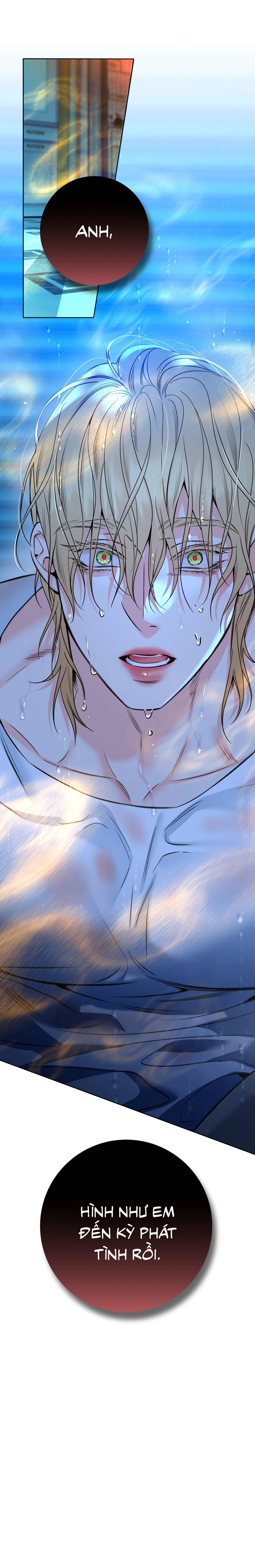 HONEY TROUBLE Chapter 47 Trang 54