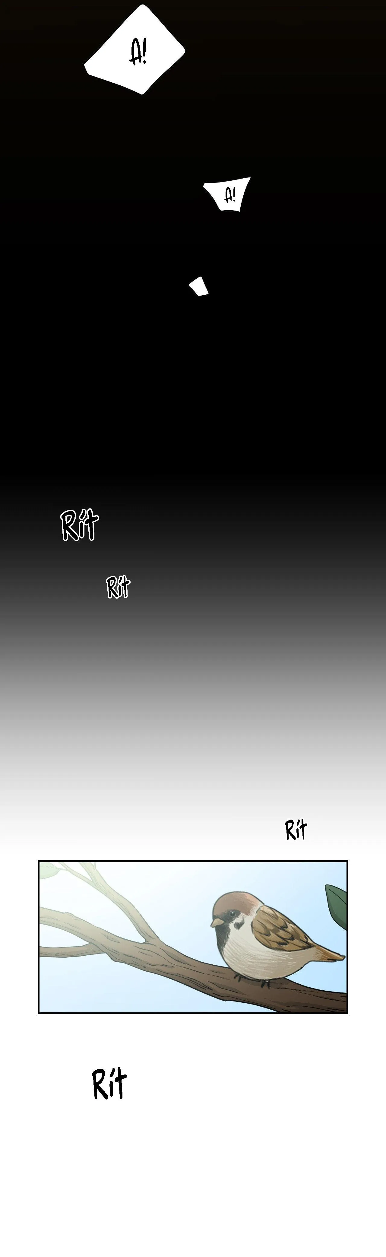 (DROP) HONEYBEE Chapter 4 Trang 29