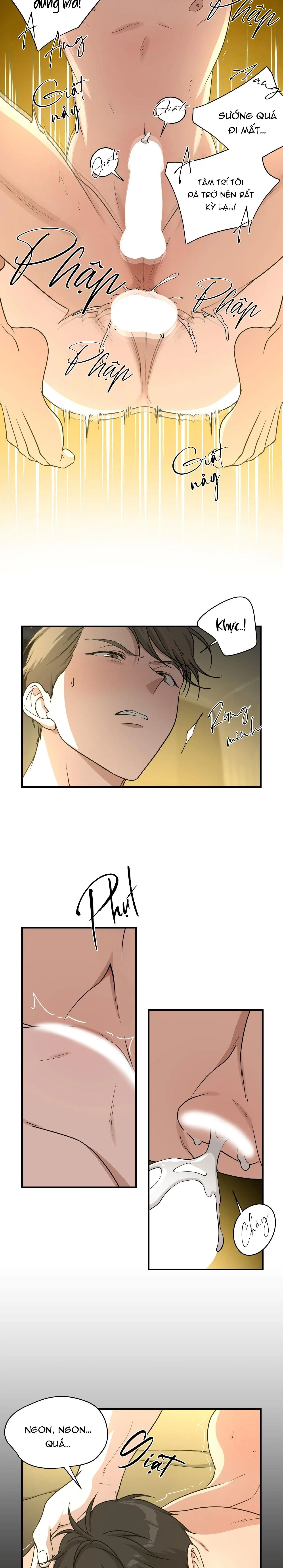 (DROP) HONEYBEE Chapter 11 Trang 11