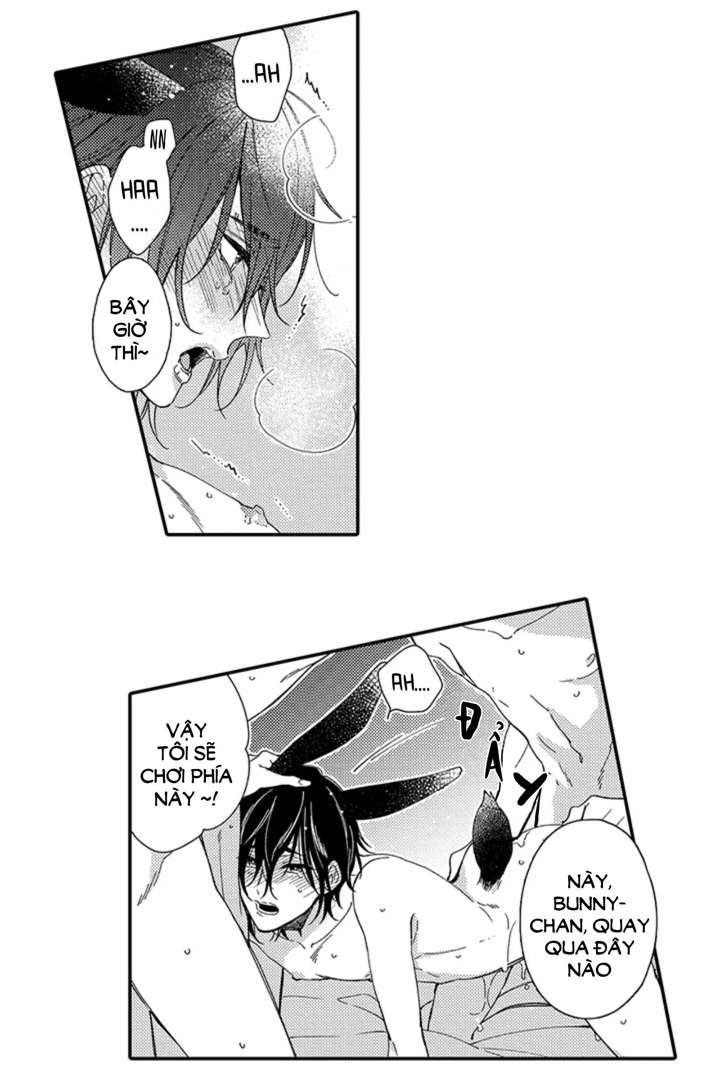 Honeyberry's beast Chapter 1 Trang 4