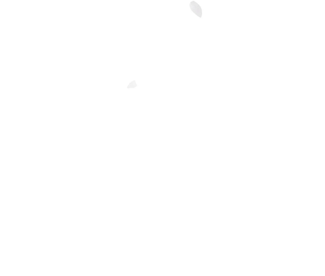 HỒNG NGỌC GIỮA NỀN TUYẾT TRẮNG Chapter 1 Trang 79