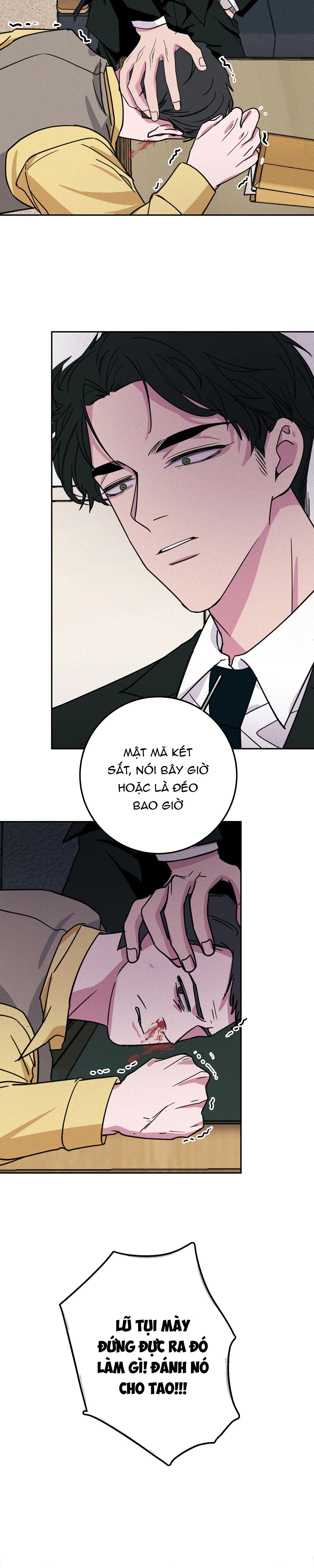 Hộp Bánh Quy Định Mệnh (END) Chapter 3 Trang 5