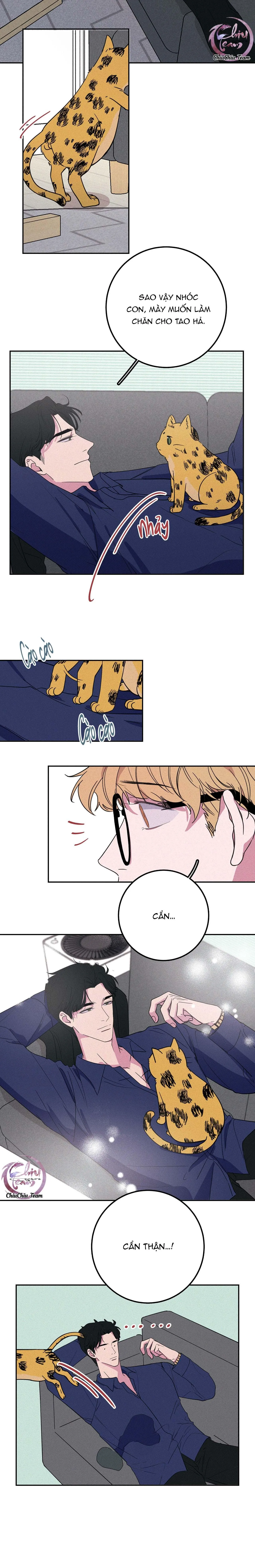 Hộp Bánh Quy Định Mệnh (END) Chapter 5 Trang 10