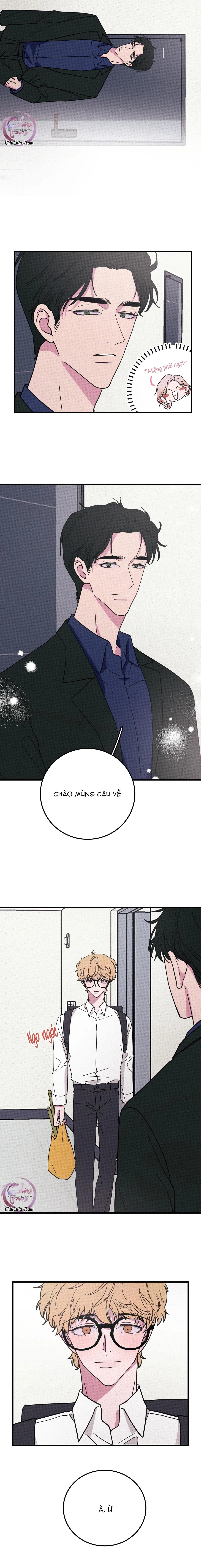 Hộp Bánh Quy Định Mệnh (END) Chapter 7 Trang 8