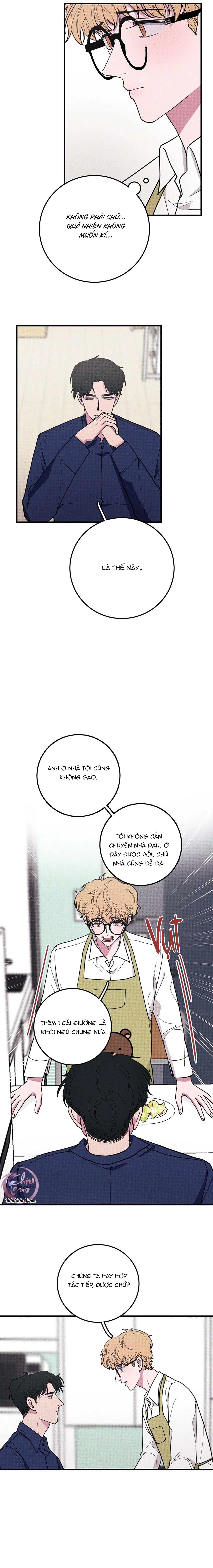 Hộp Bánh Quy Định Mệnh (END) Chapter 8 Trang 3