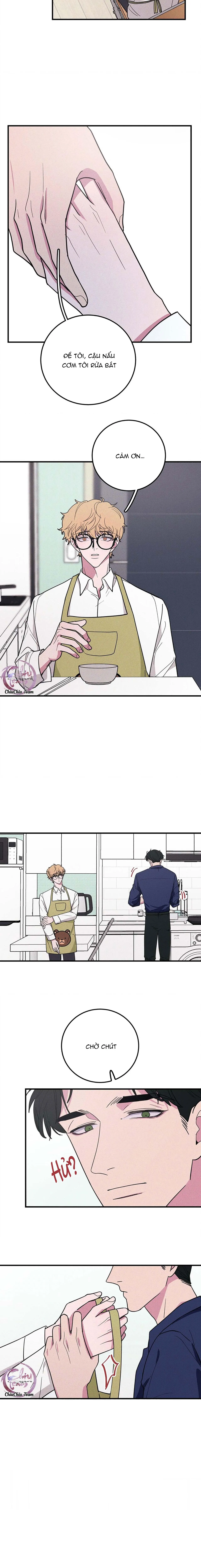 Hộp Bánh Quy Định Mệnh (END) Chapter 8 Trang 5