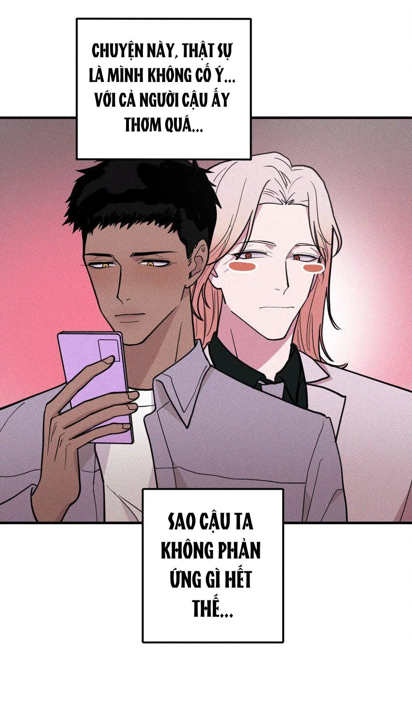 Hộp Bánh Quy Định Mệnh (END) Chapter 9 Trang 12