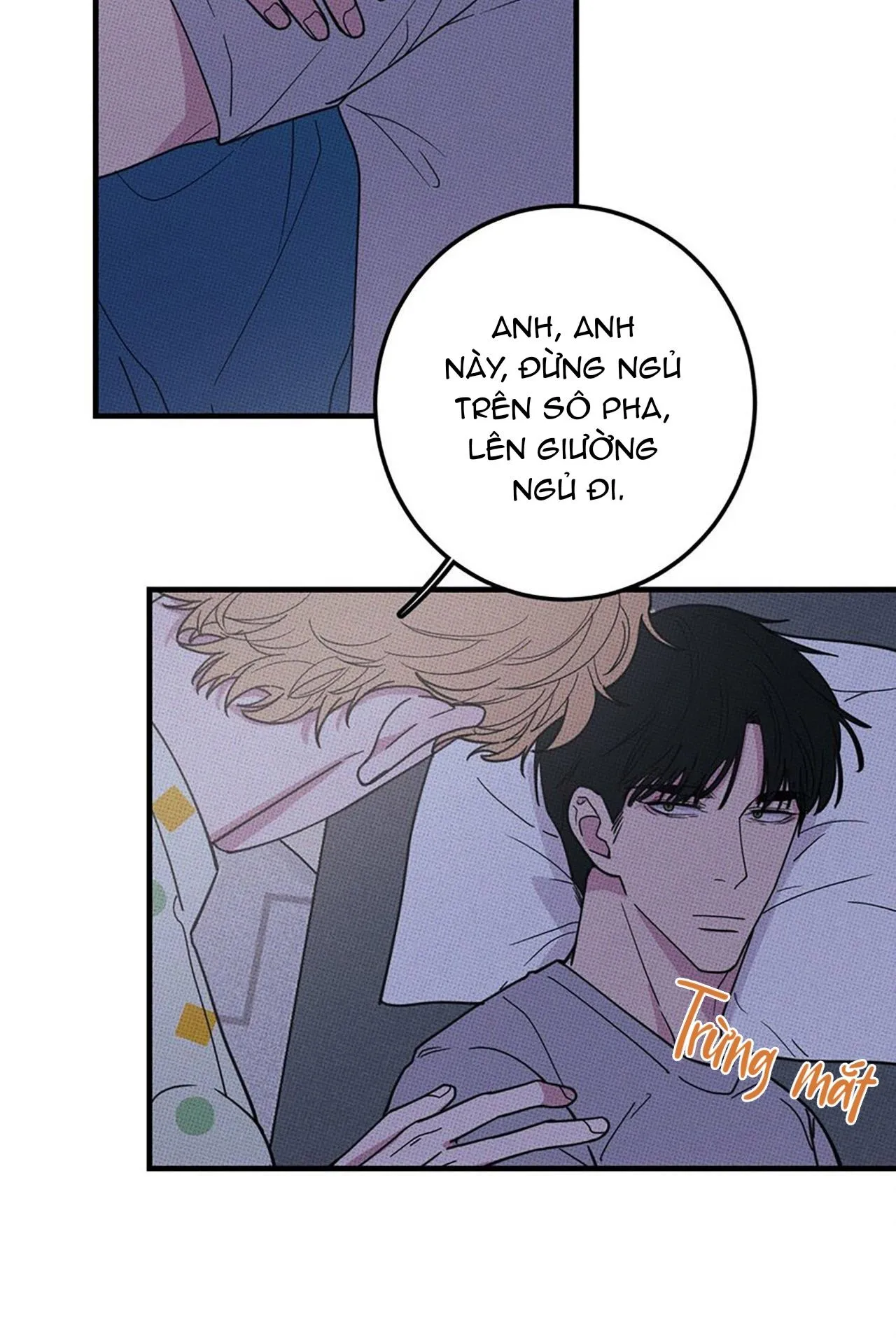 Hộp Bánh Quy Định Mệnh (END) Chapter 10 Trang 7