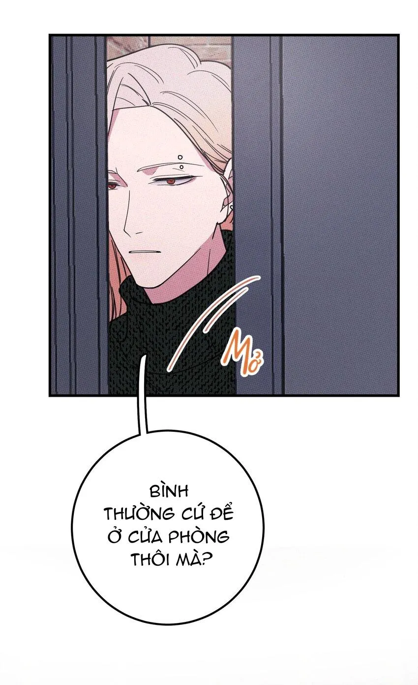 Hộp Bánh Quy Định Mệnh (END) Chapter 11 Trang 15