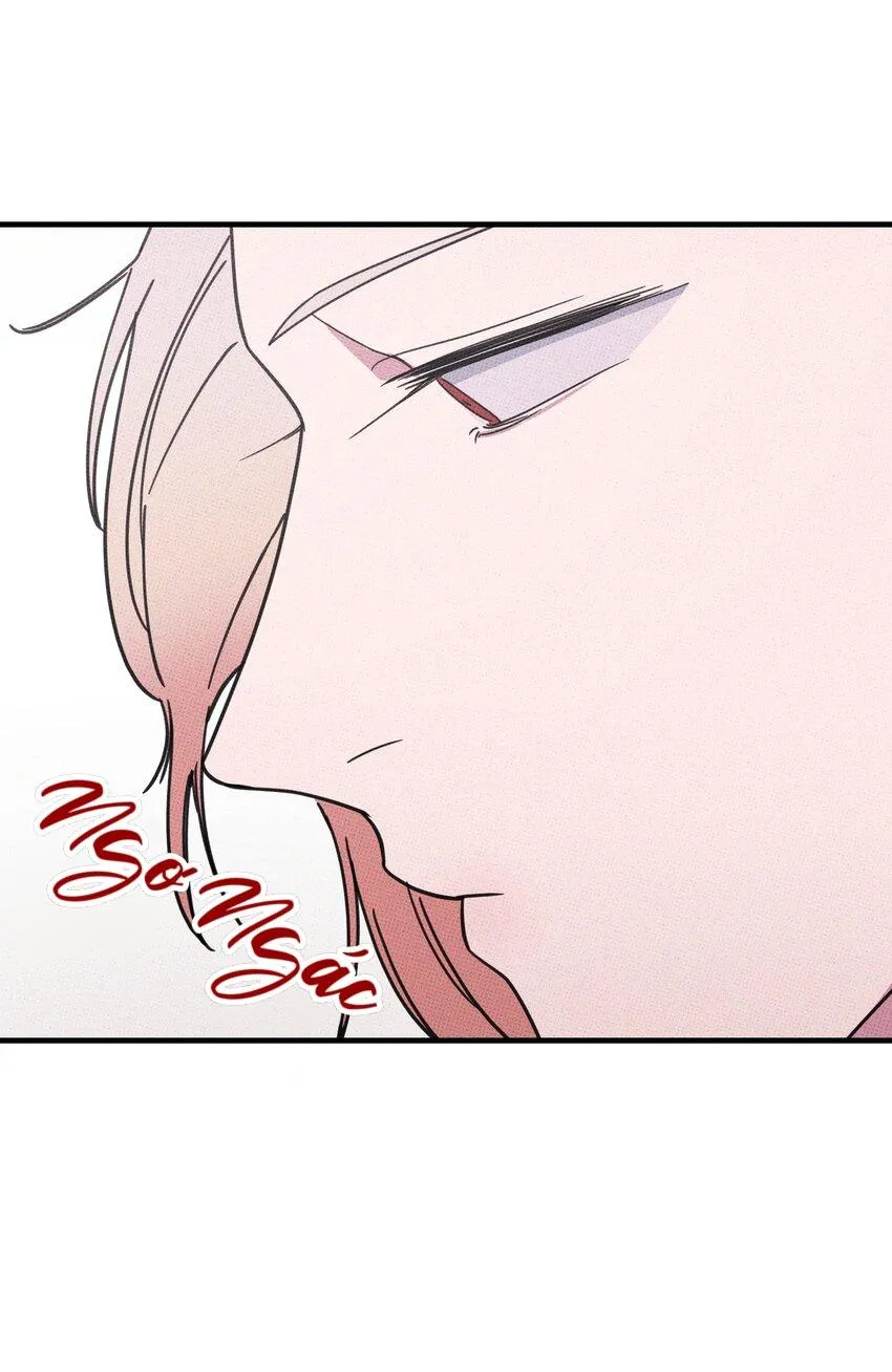 Hộp Bánh Quy Định Mệnh (END) Chapter 11 Trang 21